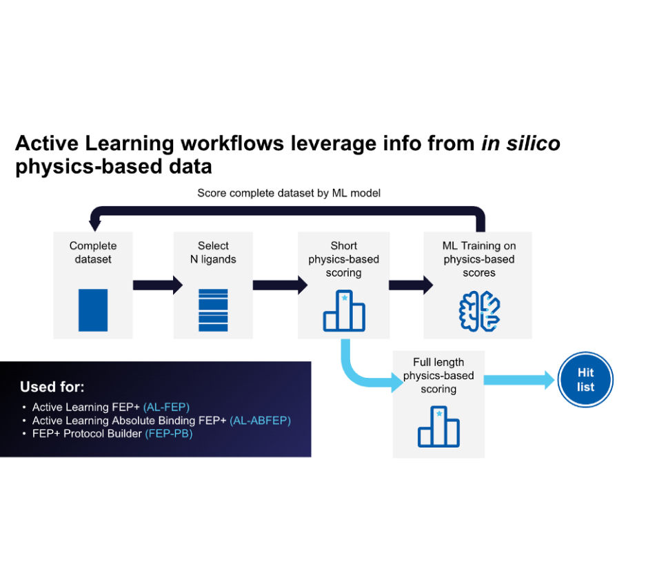 Accelerate FEP+ calculations across large compound libraries with Active Learning