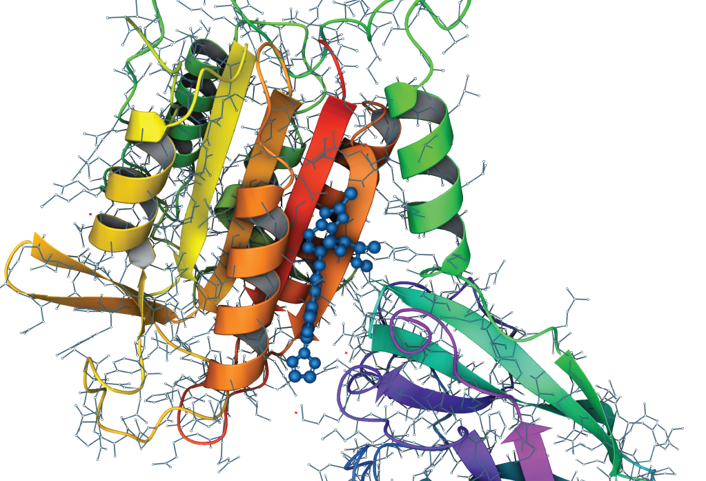 Hit to development candidate in 10-months: Rapid discovery of a novel, potent MALT1 inhibitor