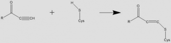 Custom Covalent Reactions_3