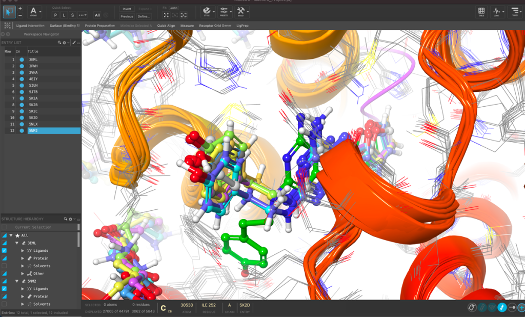 Image of Free Maestro software for life science applications